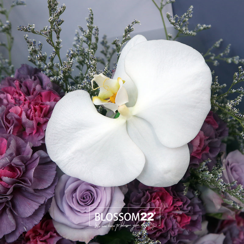24 紫玫瑰雙色康乃馨花束｜24 Purple Roses ＆ Dual Tone Carnation