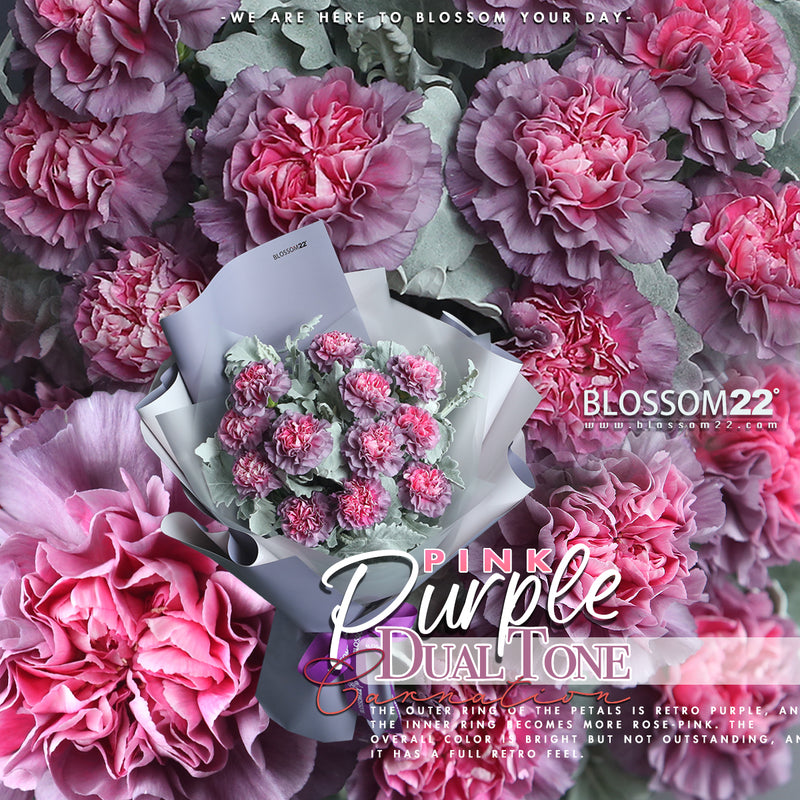 12枝 粉心紫康乃馨鮮花束｜12 Dual Tone Purple Carnation Bouquet