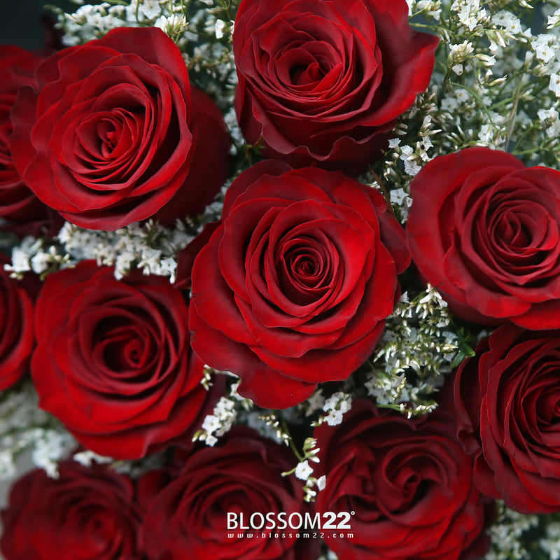 12枝 紅玫瑰鮮花束｜12 Red Roses Bouquet (520花束)