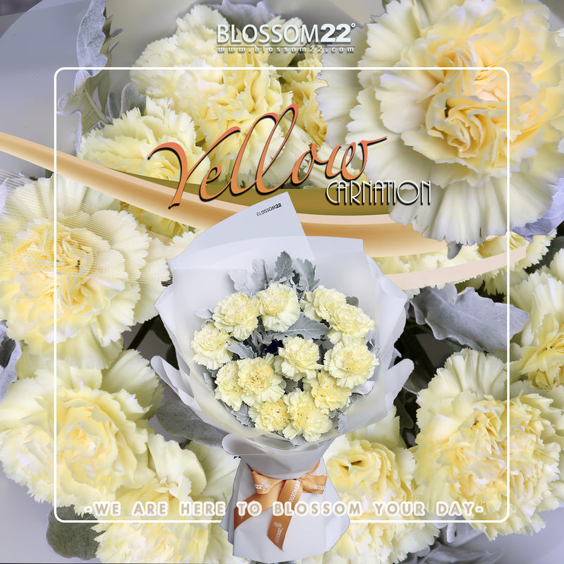 12枝 黃色康乃馨鮮花束｜12 Yellow Carnation Bouquet