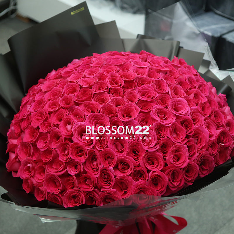 199枝 桃紅玫瑰花束｜199 Hot Pink Roses Bouquet