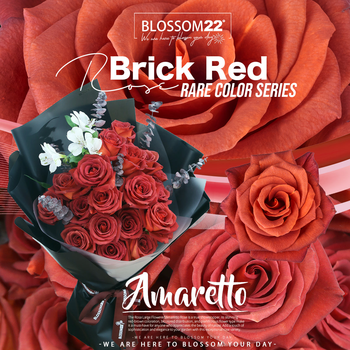 19枝 磚紅玫瑰花束｜19 Brick Red Rose Bouquet（19 Amaretto)