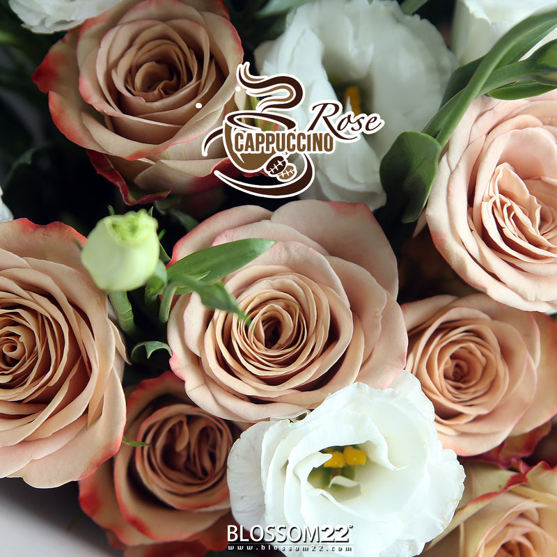 19 咖啡玫瑰桔梗花束｜19 Cappuccino Rose & Eustoma Bouquet (19 Cappuccino)