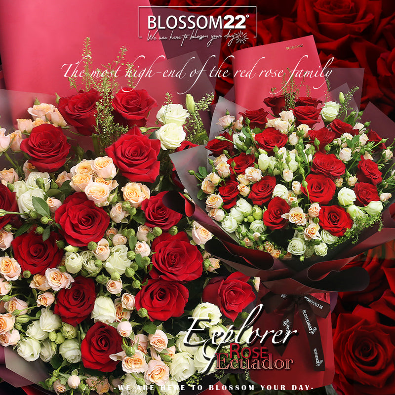 19枝 厄瓜多爾大頭紅玫瑰香檳小玫瑰花束｜19 Large Head Red Roses with mini Champagne Rose Bouquet (Explorer)