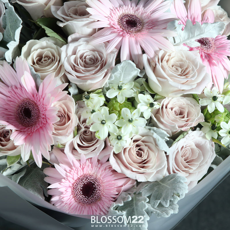 19枝 灰粉玫瑰天鵝絨非洲菊花瓶禮盒 ｜19 Grey Pink Rose Wonder Flower Barberton Daisy Vase Boxset