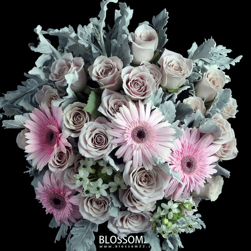 19枝 灰粉玫瑰天鵝絨非洲菊花束 ｜19 Grey Pink Rose Wonder Flower Barberton Daisy Bouquet