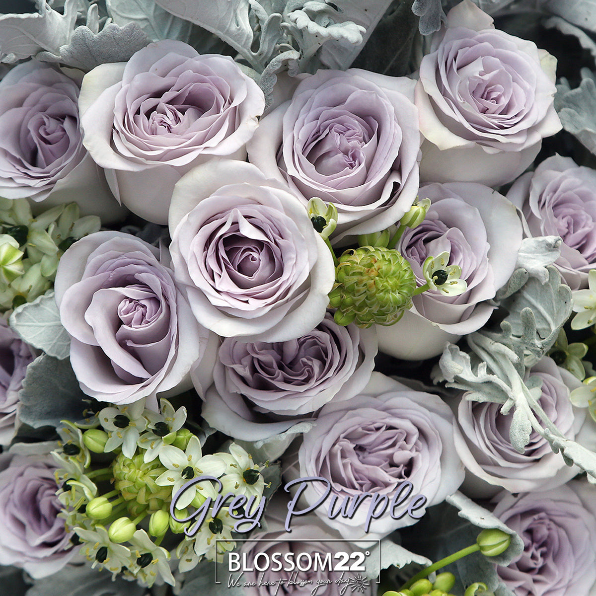 19枝 灰紫玫瑰花束 ｜19 Grey Purple Rose bouquet (Ocean Heart)