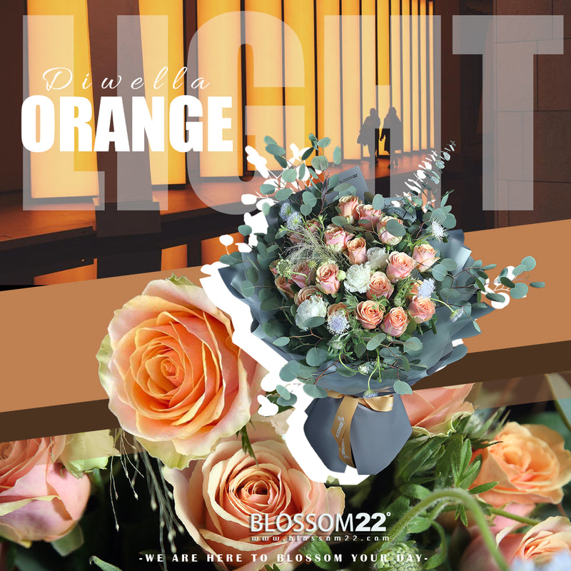 19枝 粉橙玫瑰花束｜19 Light Orange Roses Bouquet (Diwella)