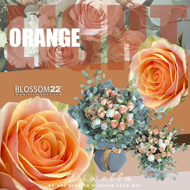 19枝 粉橙玫瑰花瓶禮盒｜19 Light Orange Roses Vase Boxset (Diwella)