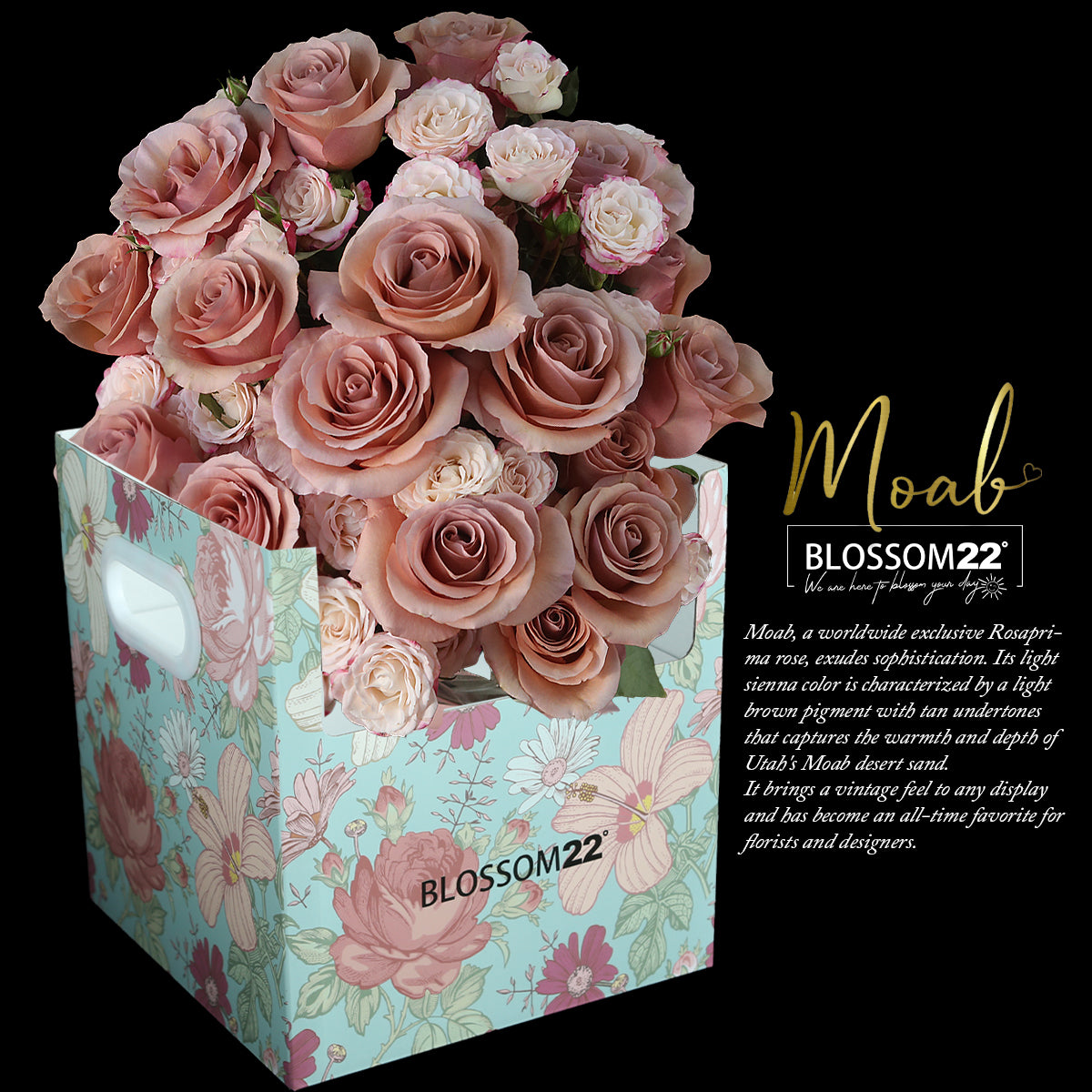 19 豆沙玫瑰混合花束｜19 Moab Rose Mini Rose Bouquet (Moab)