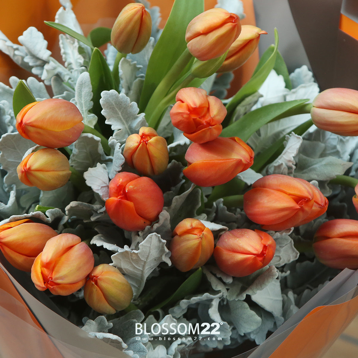 19枝 橙色鬱金香花束 ｜19 Orange Tulips Bouquet（情人節花束）