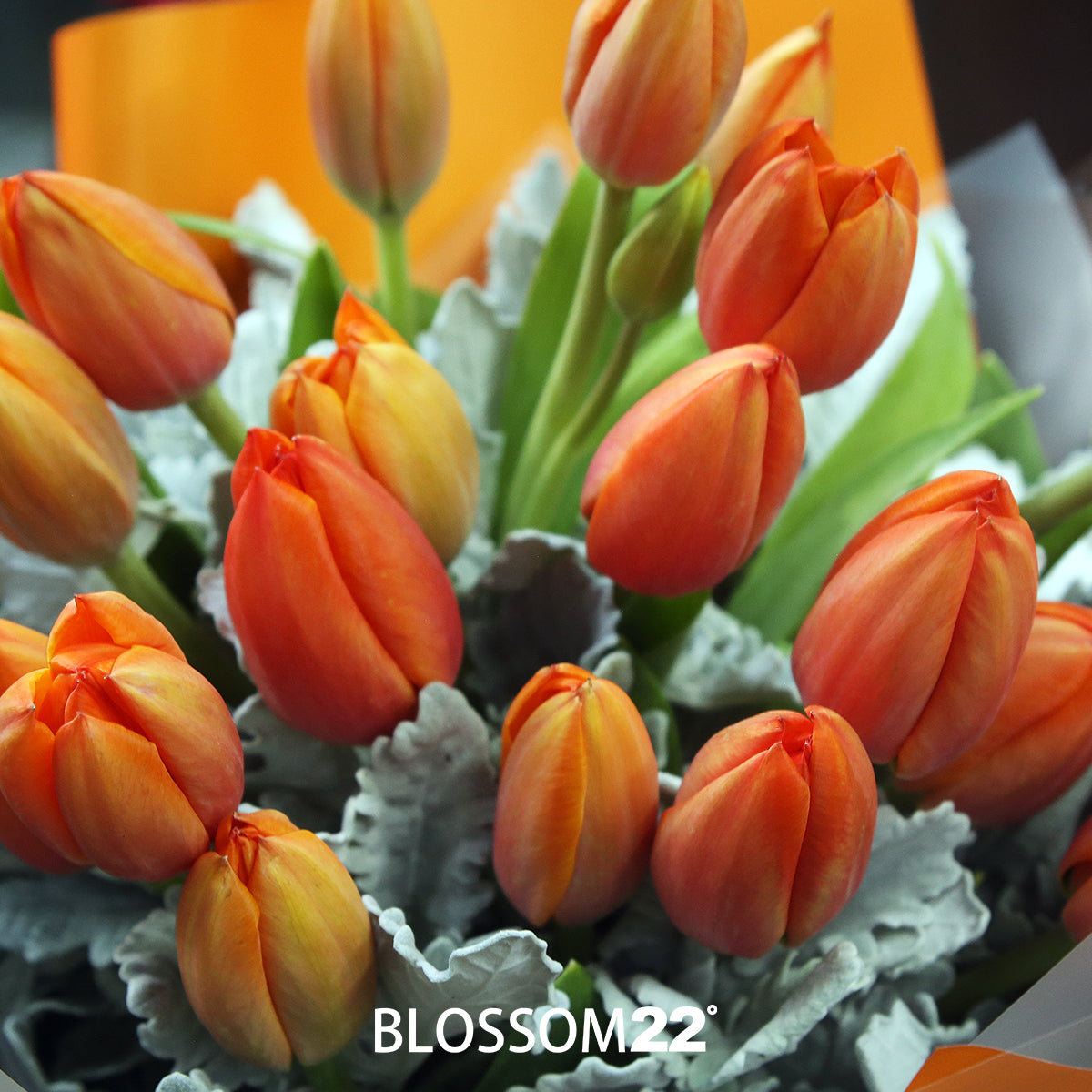 19枝 橙色鬱金香花束 ｜19 Orange Tulips Bouquet (Orange Road）