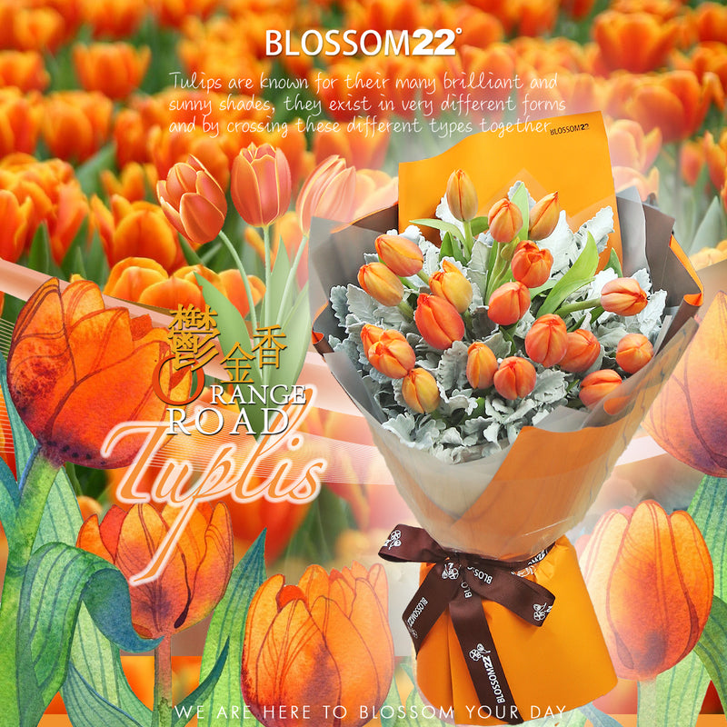 19枝 橙色鬱金香花束 ｜19 Orange Tulips Bouquet (Orange Road）