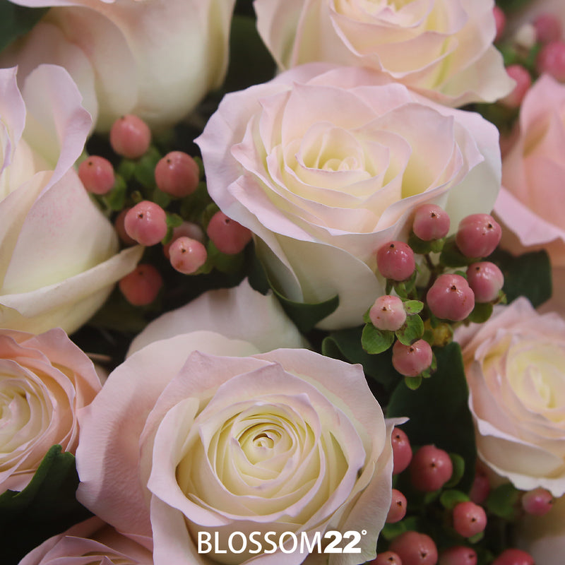 19枝 水粉玫瑰花束｜19 Pale Pink Dyeing Rose Bouquet (胭脂 RoseSakura)