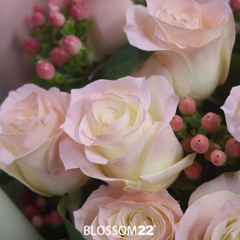 19枝 水粉玫瑰花束｜19 Pale Pink Dyeing Rose Bouquet (胭脂 RoseSakura)