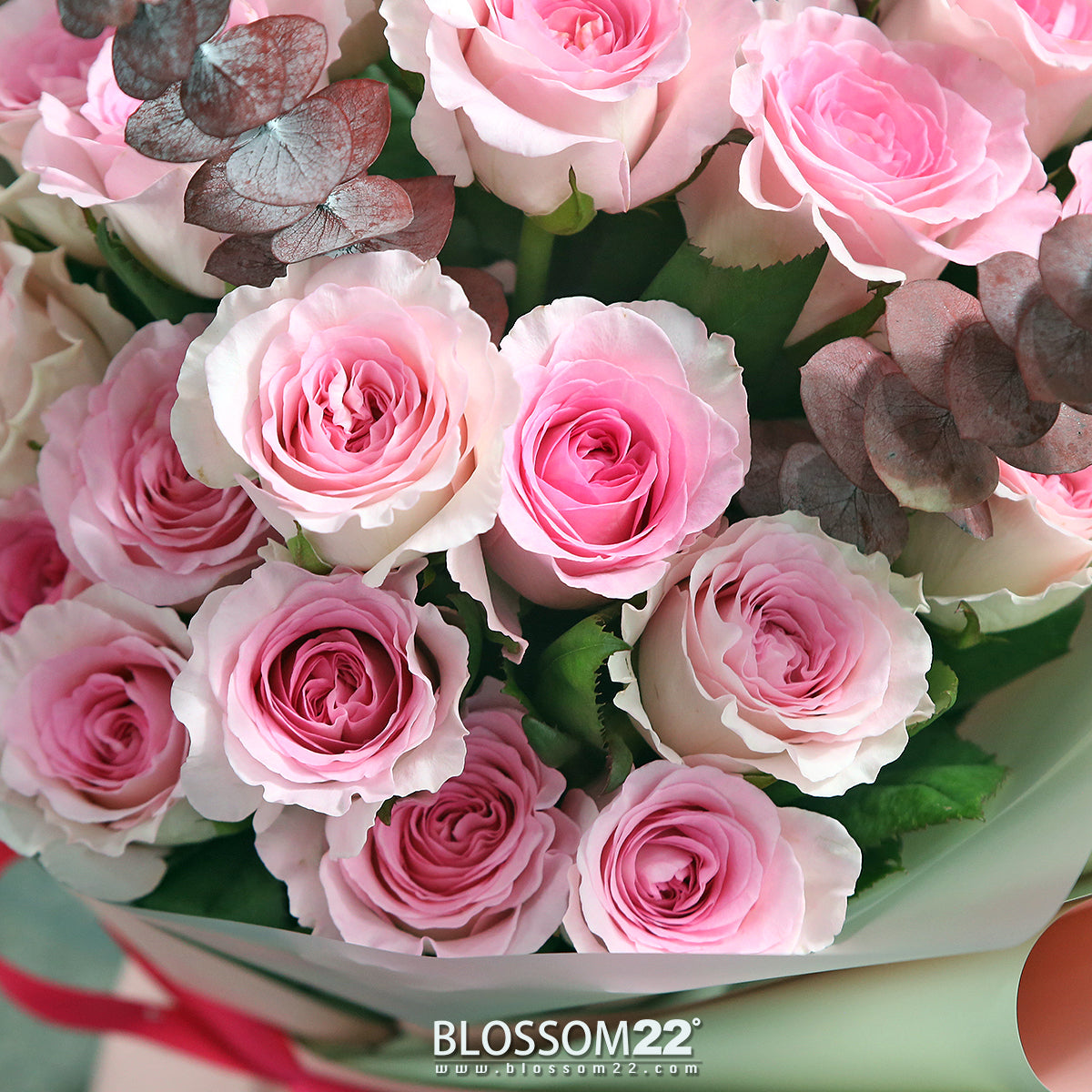 玫瑰圖 七夕進口玫瑰圖卡🌹🌹🌹 今年進口玫瑰共有21個品種可以選擇如果