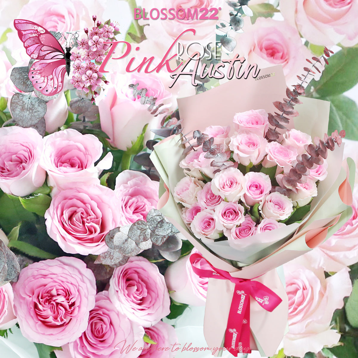 19枝 粉芯漸變奧斯汀庭園玫瑰｜19 Pink Mandala Austin Garden Rose（情人節花束）