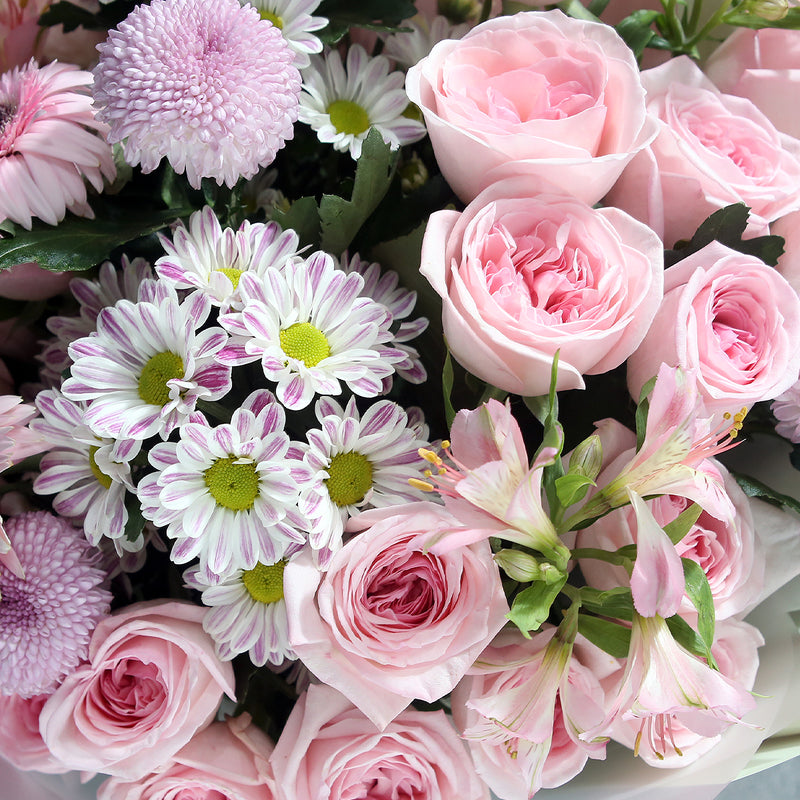 19枝 淺粉庭園玫瑰水仙百合非洲菊花束｜19 Pink O'Hara Peruvian Lily Barberton daisy bouquet