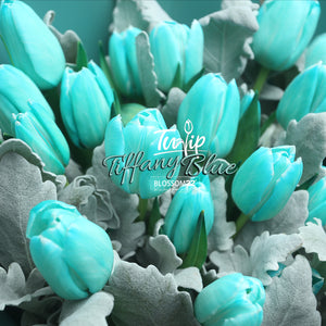 19枝 蒂芬妮鬱金香花束 ｜19Tiffany Blue dyed Tulips Bouquet