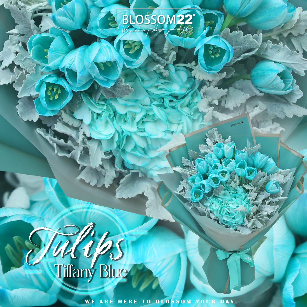 19枝 蒂芬妮鬱金香繡球花束 ｜19 Tiffany Blue Tulips Hydrangea Bouquet