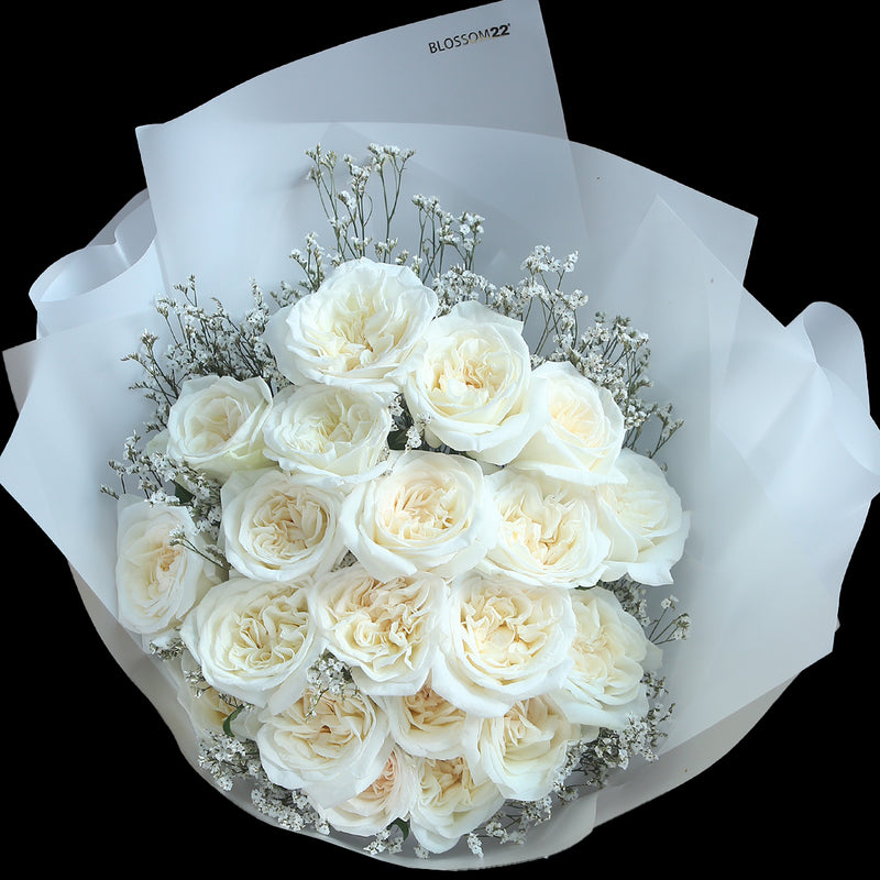 19枝 粉白庭園大頭玫瑰花束｜19 White O'Hara  bouquet
