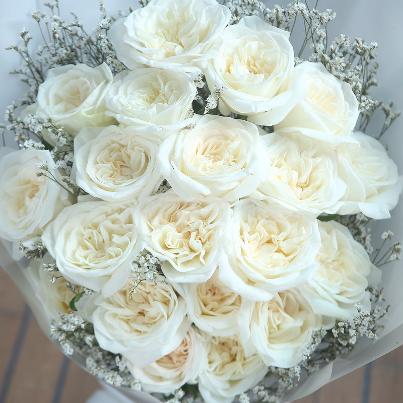 19枝 粉白庭園大頭玫瑰花束｜19 White O'Hara  bouquet