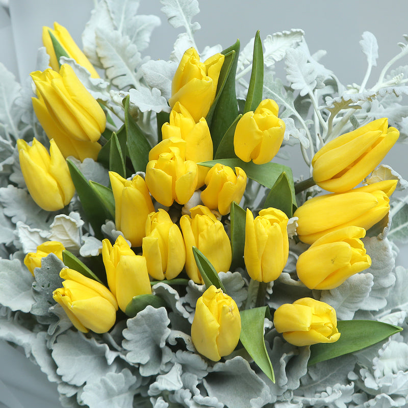 19 黃色鬱金香花束｜19 Yellow Tulips Bouquet