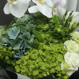 4 綠繡球蝴蝶蘭花束｜4 Green Hydrangea & Orchid (Greensleeves )