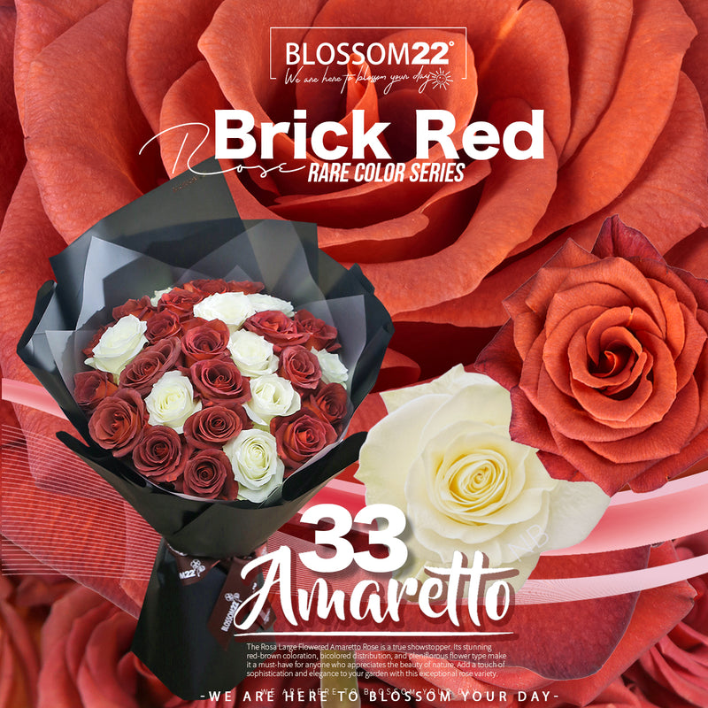 33枝 磚紅混白玫瑰花束｜33 Brick Red & White Rose Bouquet