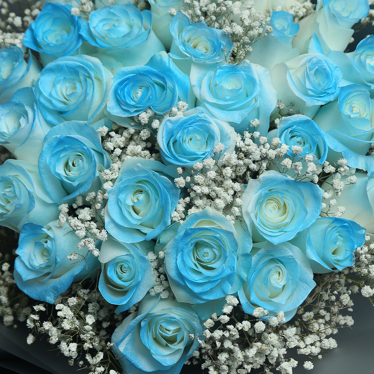 33枝 冰藍玫瑰花束｜33 Ice Blue Dyeing Roses Bouquet