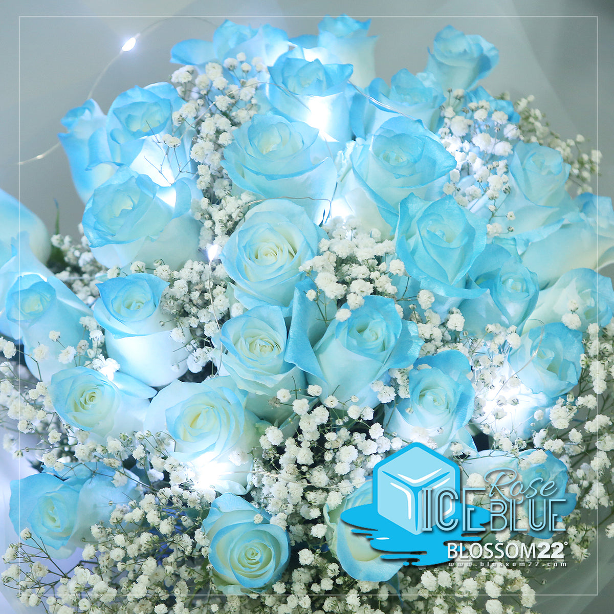 33枝 冰藍玫瑰花束｜33 Ice Blue Dyeing Roses Bouquet