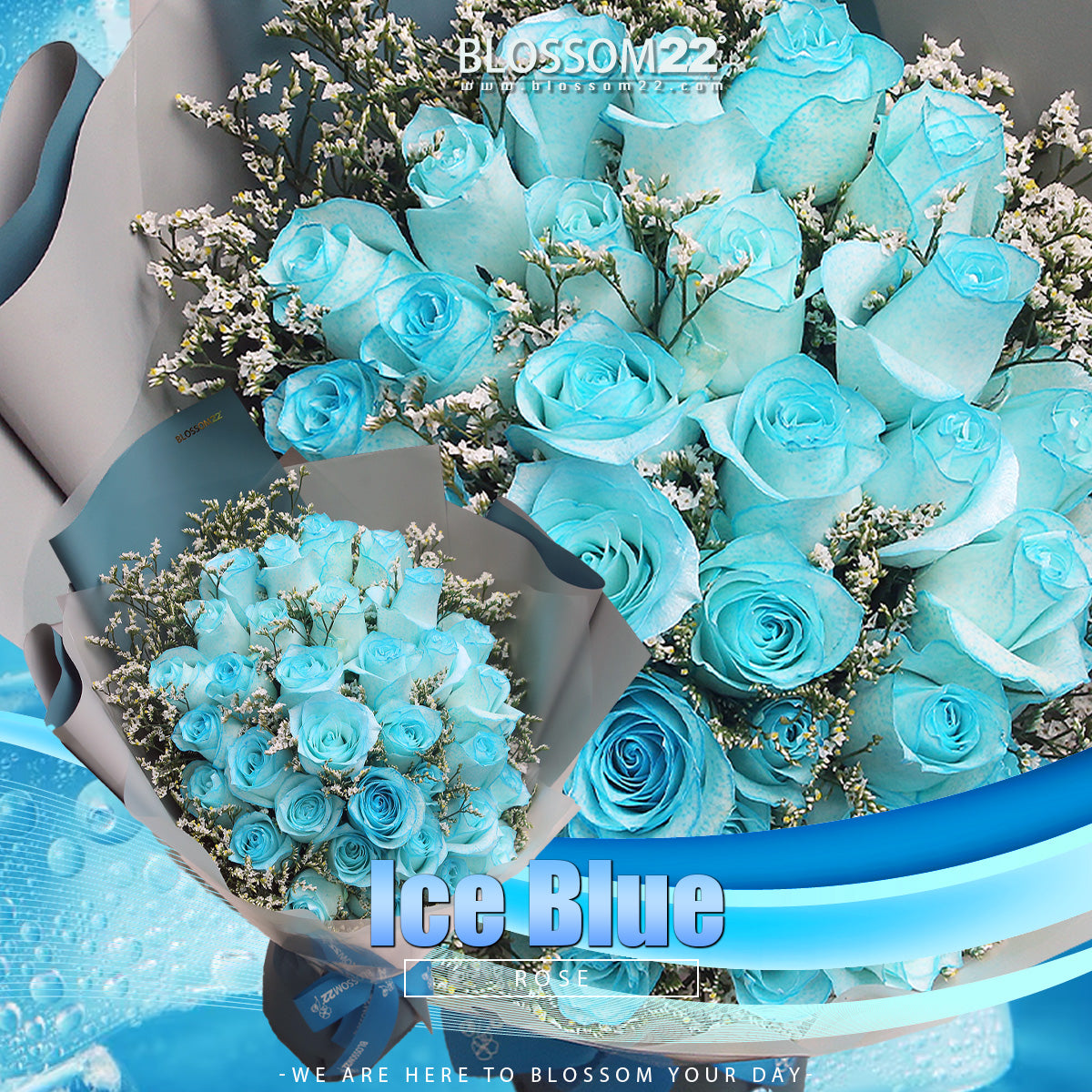 33枝 冰藍玫瑰花束｜33 Ice Blue Dyeing Roses Bouquet