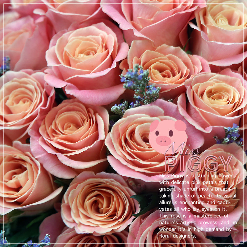 33枝 桃粉玫瑰花束｜33 Piggy Roses Bouquet