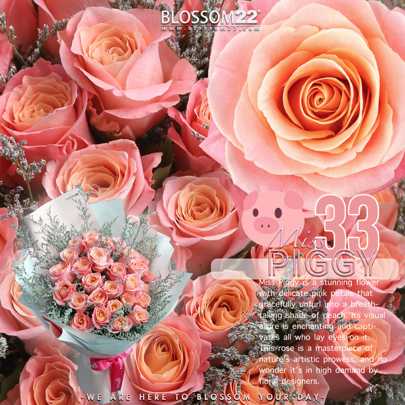 33枝 桃粉玫瑰花束｜33 Piggy Roses Bouquet