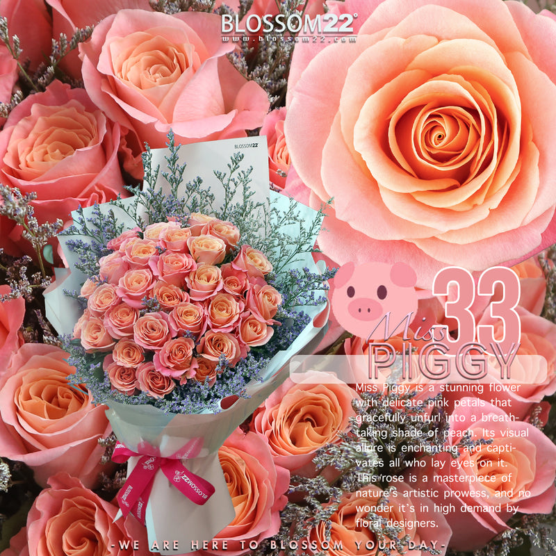 33枝 桃粉玫瑰花束｜33 Piggy Roses Bouquet