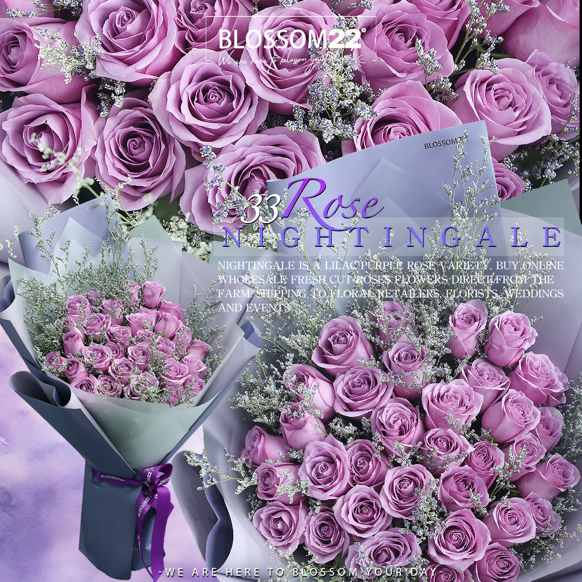 33枝紫玫瑰花束｜33 Purple Roses Bouquet | 新鮮花束| Blossom22