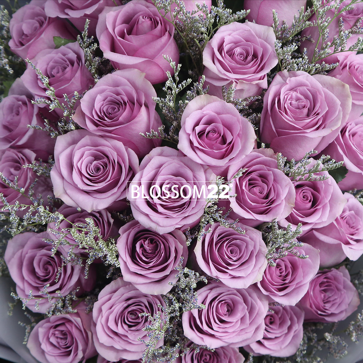 33枝紫玫瑰花束｜33 Purple Roses Bouquet | 新鮮花束| Blossom22