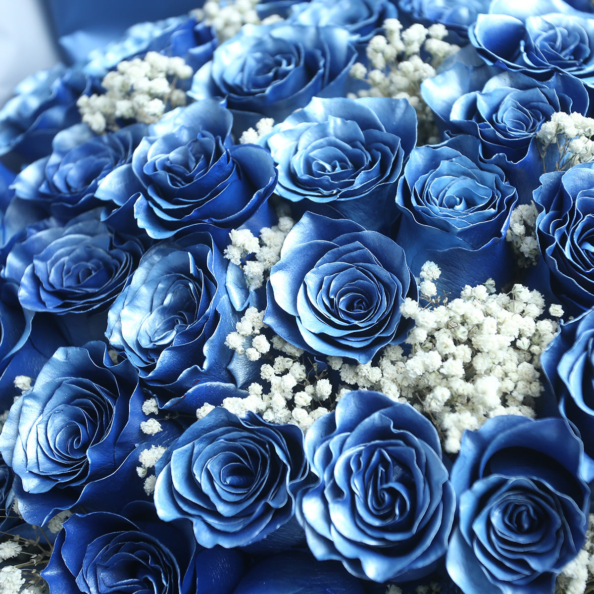 33枝 電藍玫瑰花束｜33 Thunder Blue Dyeing Roses Bouquet