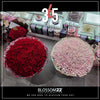 365枝 淺粉玫瑰花束｜365 Light Pink Roses Bouquet