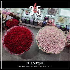 365枝 淺粉玫瑰花束｜365 Light Pink Roses Bouquet
