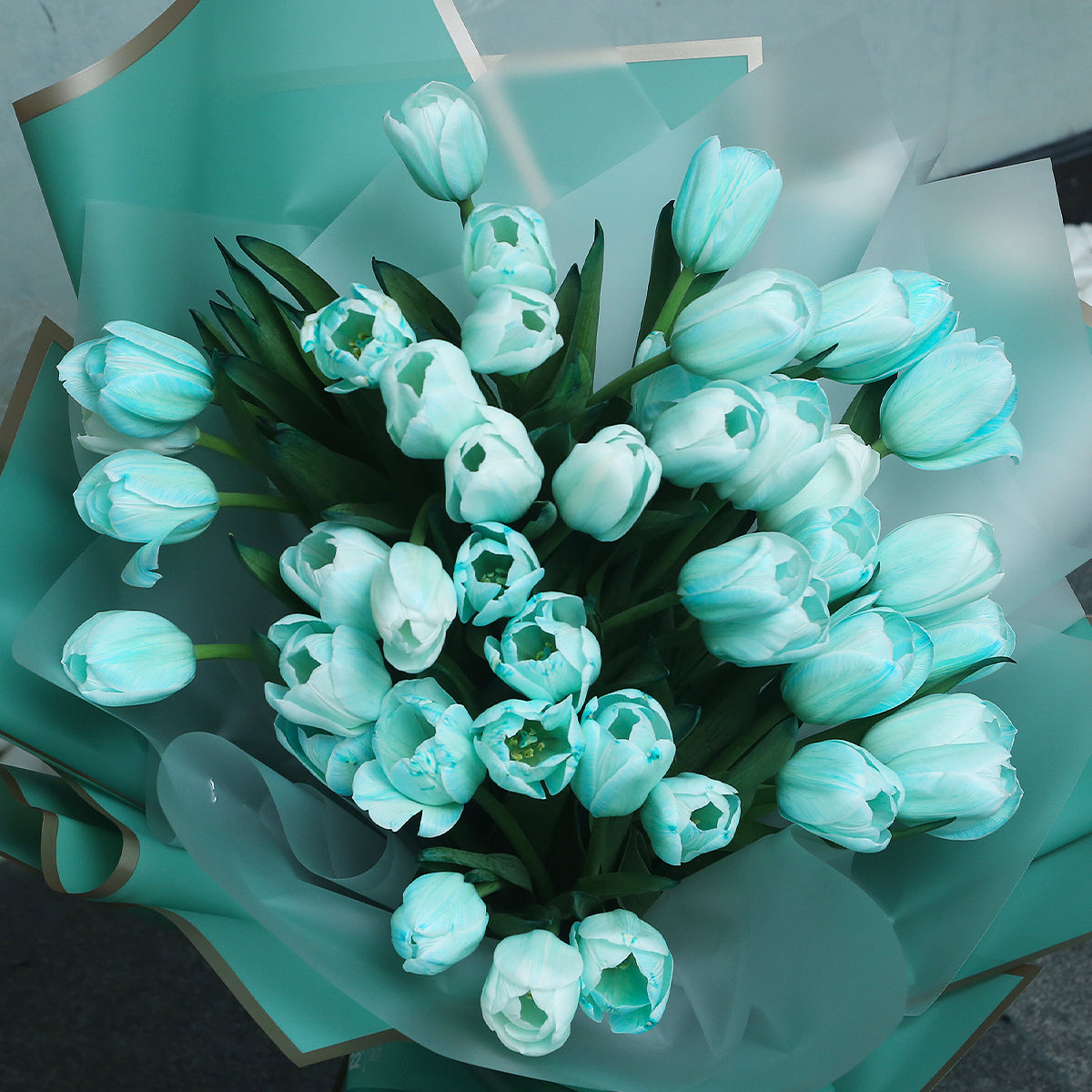 39枝 蒂芬妮鬱金香花束 ｜39 Tiffany Blue Tulips Bouquet