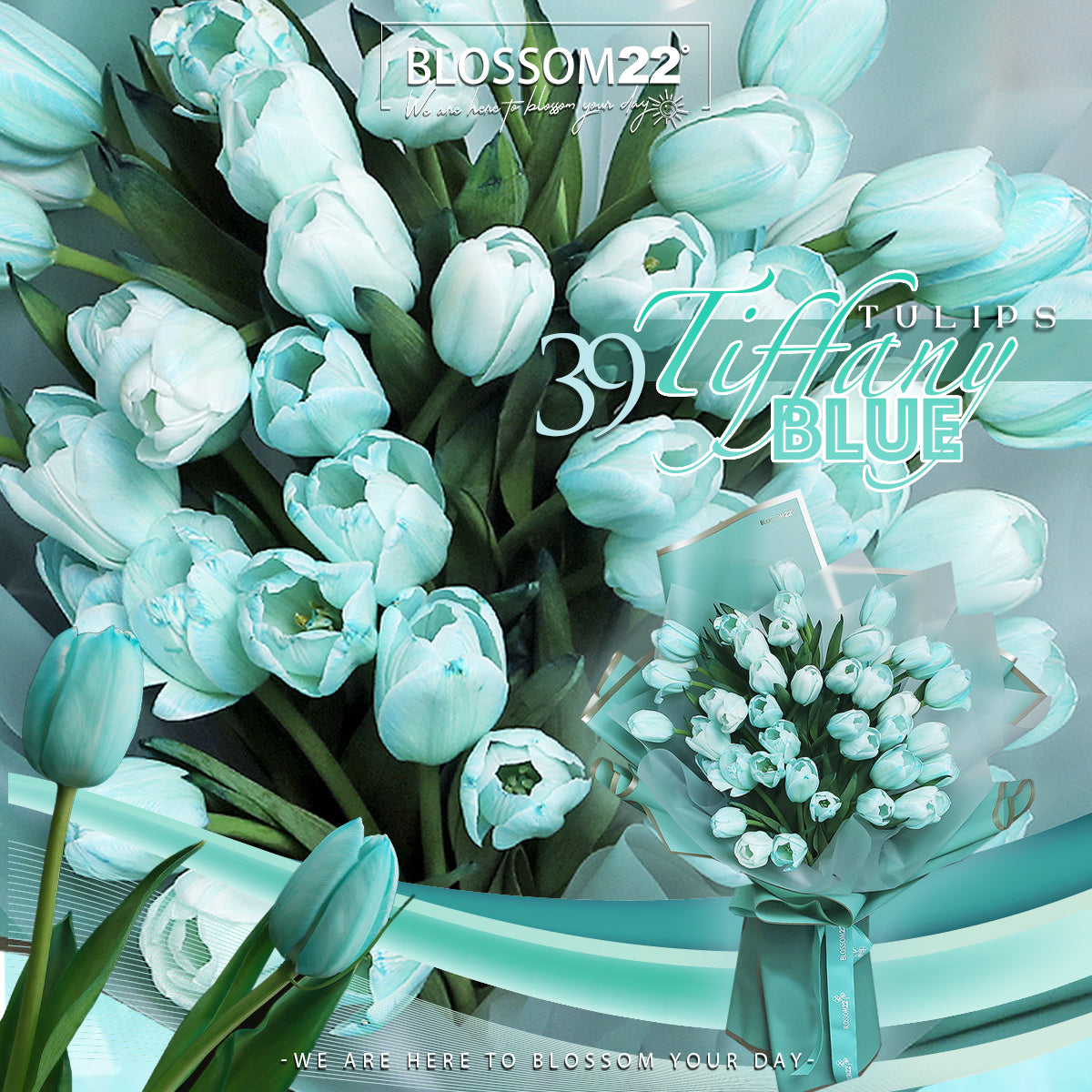 39枝 蒂芬妮鬱金香花束 ｜39 Tiffany Blue Tulips Bouquet