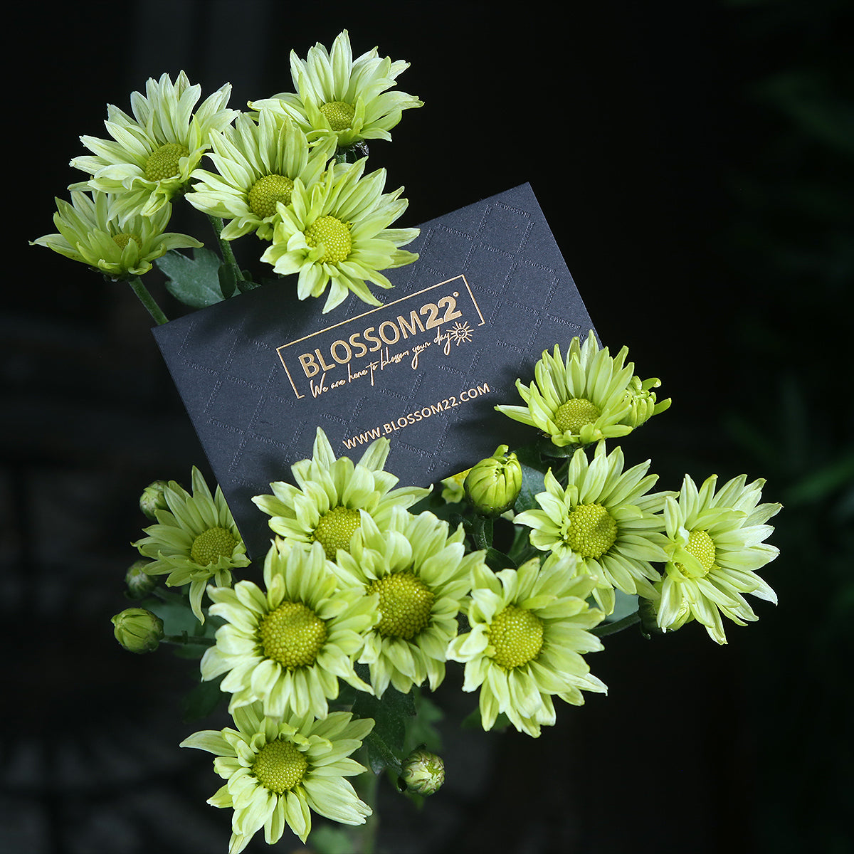 香檳玫瑰綠雛菊小百合花束｜Champagne Green Spary Chrysanthemum with Lily Bouquet