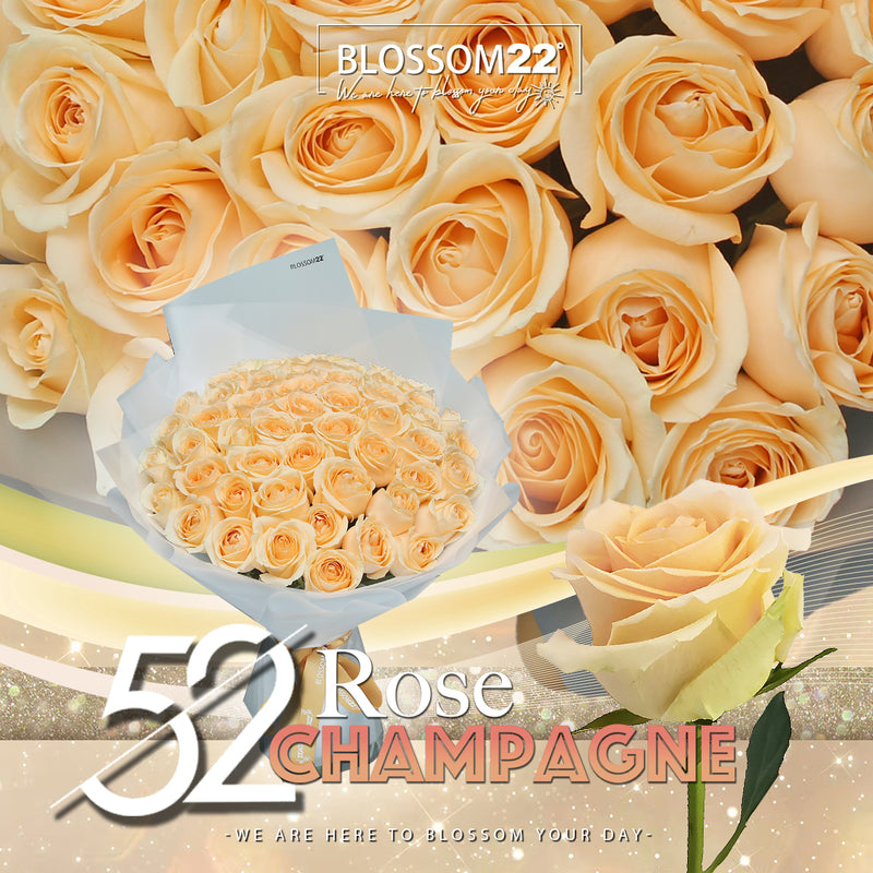 52枝 香檳玫瑰求婚花束｜52 Champagne Roses Bouquet (Peach Avalanche)