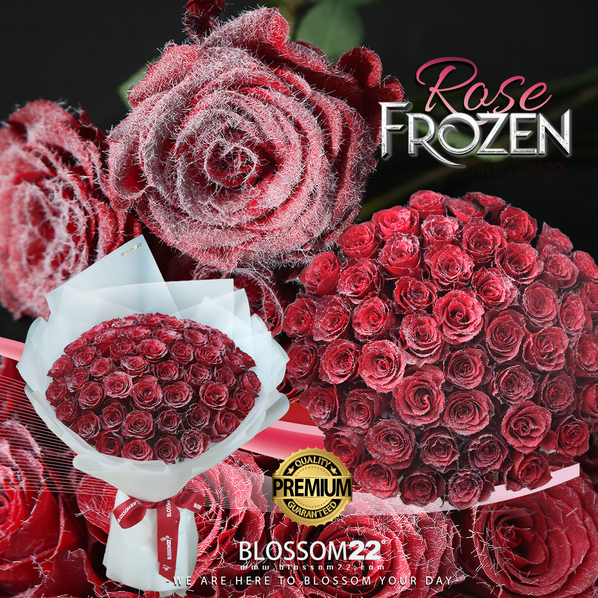 52枝 冰絨紅玫瑰求婚花束｜52 Frozen Red Roses Bouquet