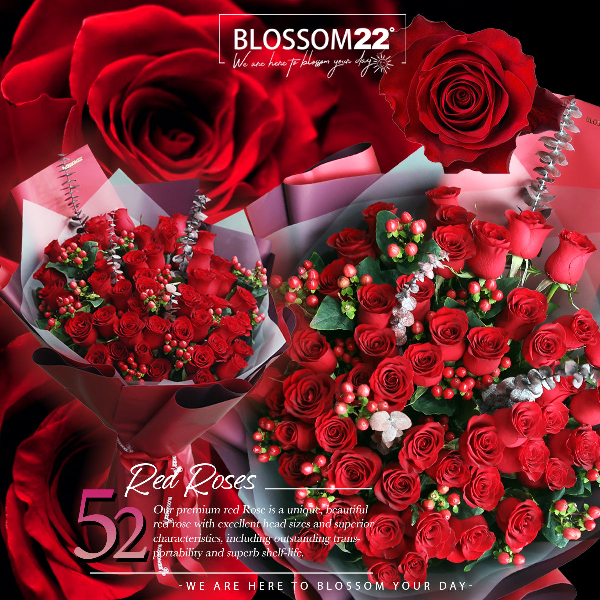 52枝 紅玫瑰豪華版求婚花束｜52 Red Roses Luxary Wrap Bouquet (52Red+)