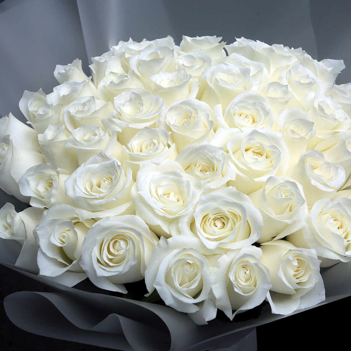 52枝 白玫瑰求婚花束｜52 White Roses Bouquet (520花束)