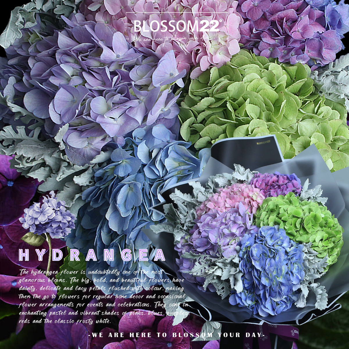 花卉5 5 混色繡球花束｜5 Mixed Hydrangea Bouquet – Blossom22°