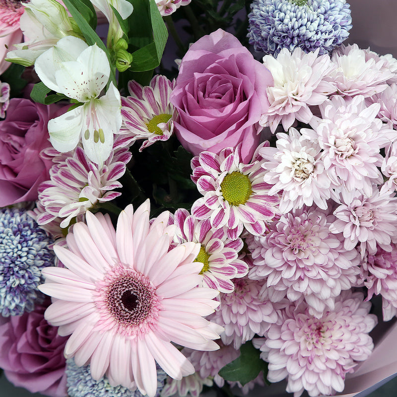 紫玫瑰非洲菊掌花束｜Purple Rose Barberton Daisy & Peace Lily Bouquet