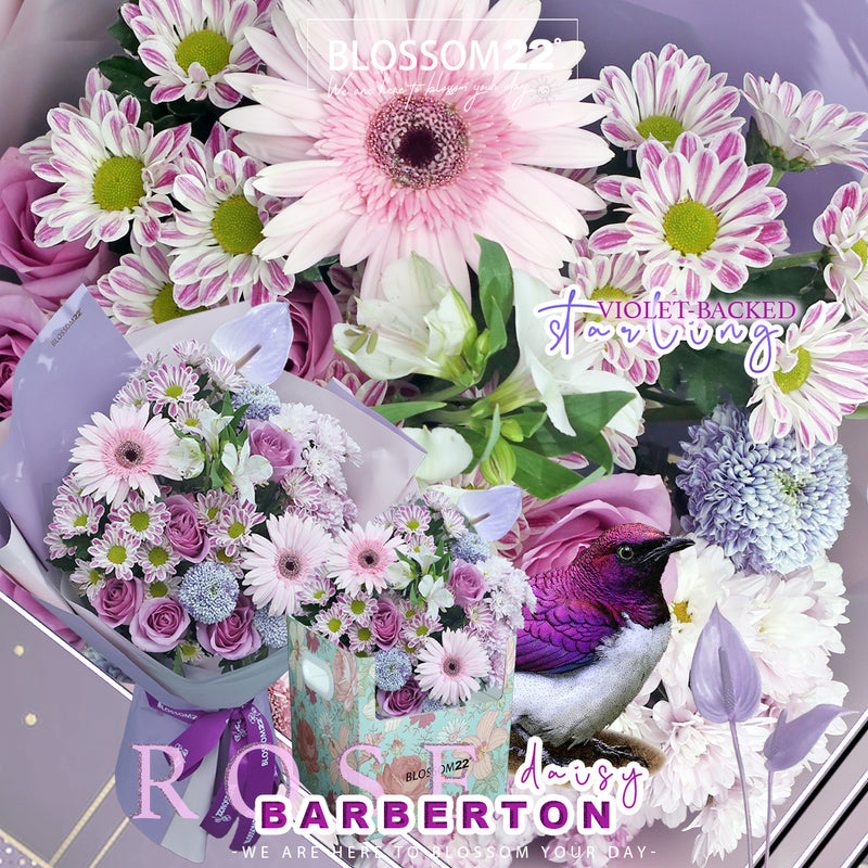 紫玫瑰非洲菊掌花瓶禮盒｜Purple Rose Barberton Daisy & Peace Lily Vase Boxset